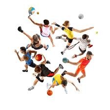 以下为 去重后的全部新闻标题（仅篮球 + 足球）：