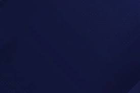 纽约洋基在 2024 年常规赛前夕宣布其主场已全面实现 5G 信号覆盖