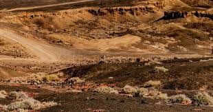 麻将中的心理博弈点（麻将心理博弈要点）